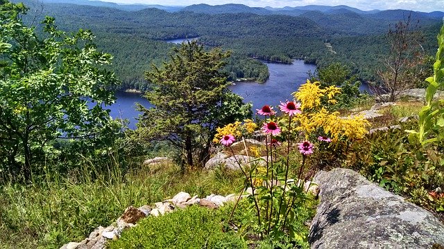 Descarga gratuita Mountain Nature Flowers - foto o imagen gratuita para editar con el editor de imágenes en línea GIMP
