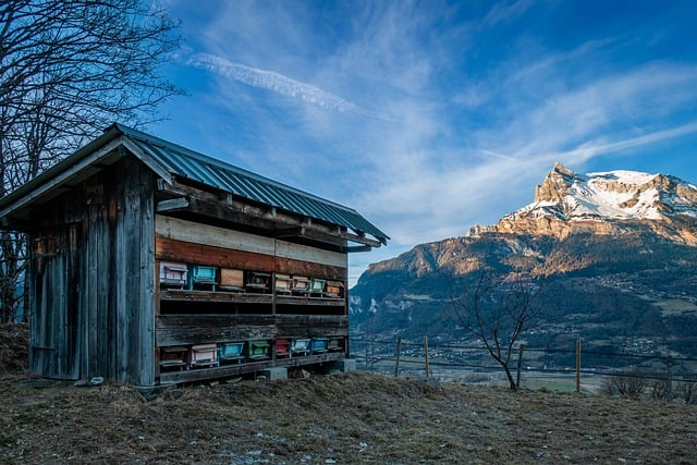 Kostenloser Download von Mountain Prairie Snow Sky Hive, kostenloses Bild zur Bearbeitung mit dem kostenlosen Online-Bildeditor GIMP