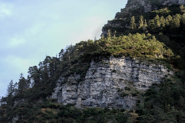 Free download mountain rock layered trees fall free picture to be edited with GIMP free online image editor
