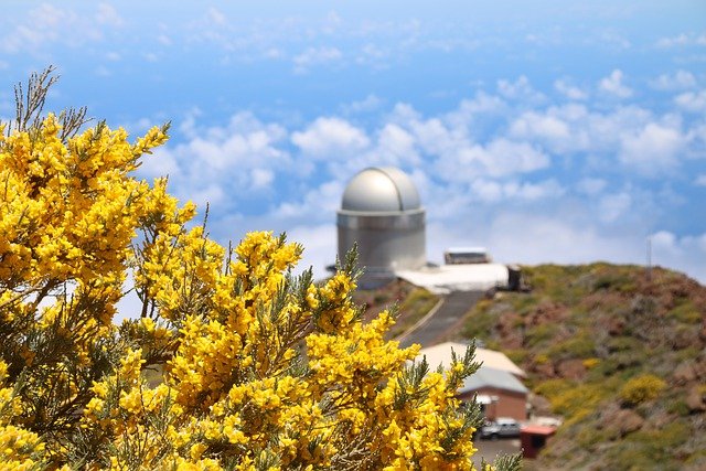 Kostenloser Download Berge bauen Baumobservatorium Kostenloses Bild, das mit dem kostenlosen Online-Bildeditor GIMP bearbeitet werden kann