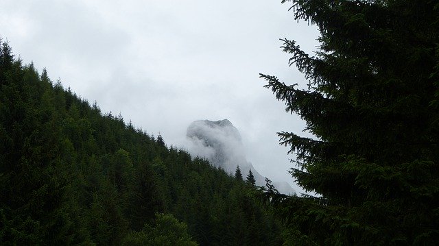 സൗജന്യ ഡൗൺലോഡ് Mountains Bw ബ്ലാക്ക് വൈറ്റ് ആൻഡ് - GIMP ഓൺലൈൻ ഇമേജ് എഡിറ്റർ ഉപയോഗിച്ച് എഡിറ്റ് ചെയ്യാൻ സൌജന്യ ഫോട്ടോയോ ചിത്രമോ