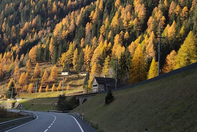 Free download mountains coniferous forest autumn free picture to be edited with GIMP free online image editor