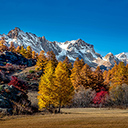 Mountains Covered in Snow and Autumn Trees  screen for extension Chrome web store in OffiDocs Chromium