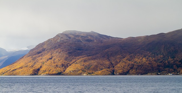 Free download mountain sea fjord autumn ruska free picture to be edited with GIMP free online image editor