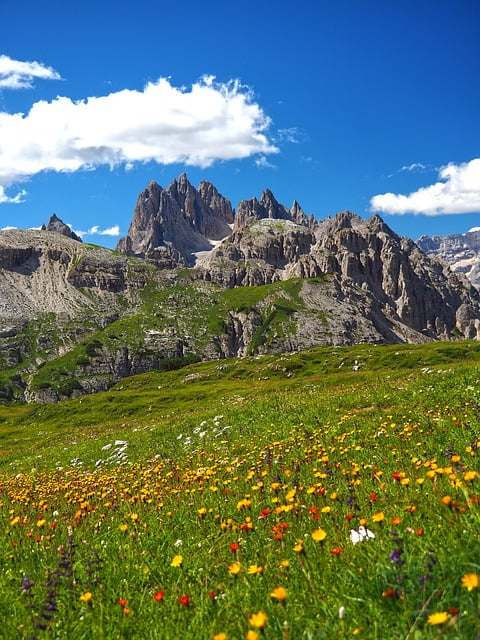 Baixe gratuitamente montanhas, flores, prado, imagem gratuita para ser editada com o editor de imagens on-line gratuito do GIMP