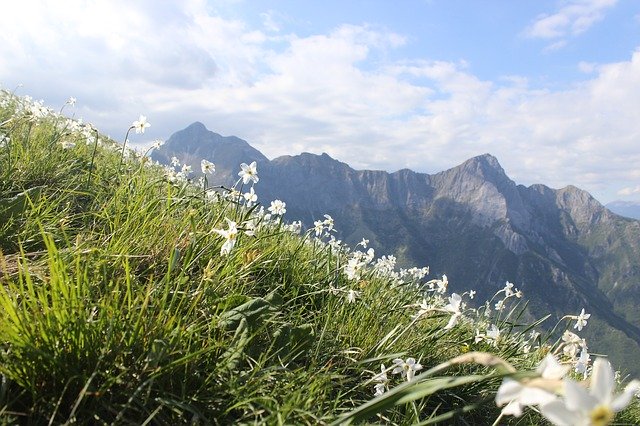 Free download Mountains Flowers Panorama free photo template to be edited with GIMP online image editor