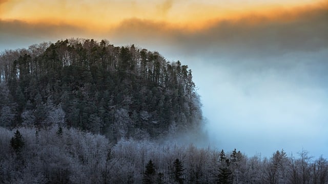 Téléchargement gratuit d'une image gratuite de montagnes, brouillard, forêt, matin, à modifier avec l'éditeur d'images en ligne gratuit GIMP