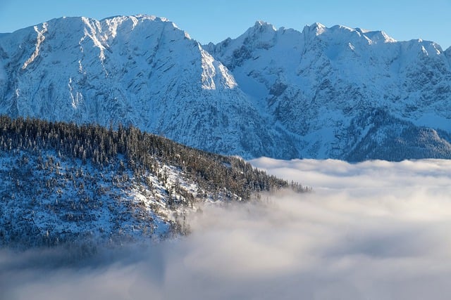 GIMP ücretsiz çevrimiçi resim düzenleyiciyle düzenlenecek ücretsiz indir dağlar sis doğa manzarası ücretsiz resim