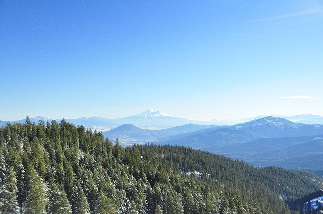 Template Photo Mountain Shasta Forest for OffiDocs