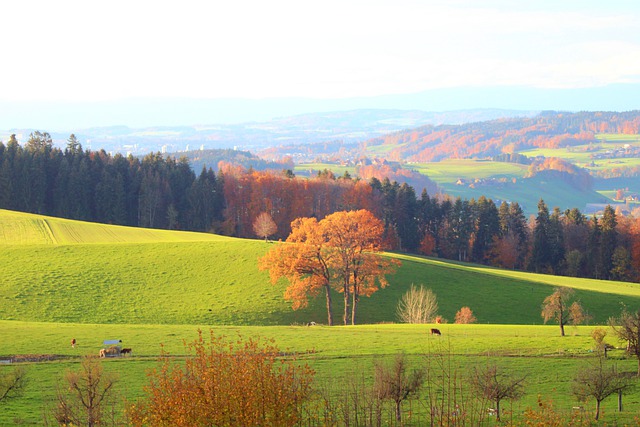Free download mountains landscape autumn field free picture to be edited with GIMP free online image editor