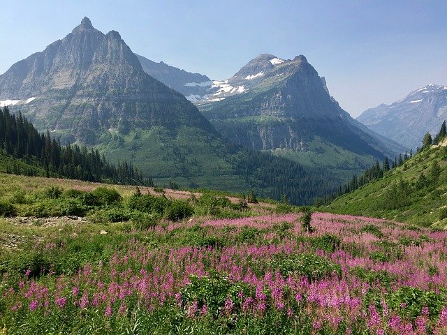 Free download Mountains Meadow Glacier National -  free photo or picture to be edited with GIMP online image editor