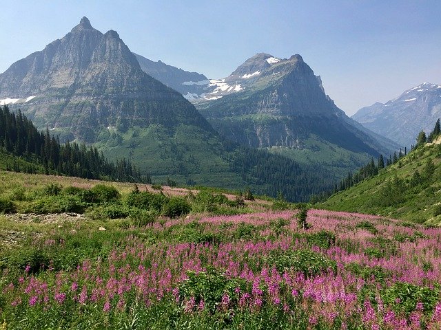 دانلود رایگان Mountains Meadow Glacier National - عکس یا تصویر رایگان قابل ویرایش با ویرایشگر تصویر آنلاین GIMP