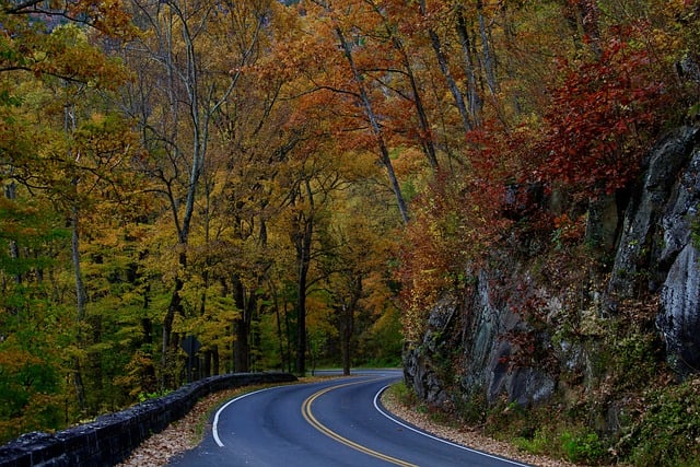 Scarica gratuitamente l'immagine gratuita di montagne natura autunno autunno da modificare con l'editor di immagini online gratuito GIMP