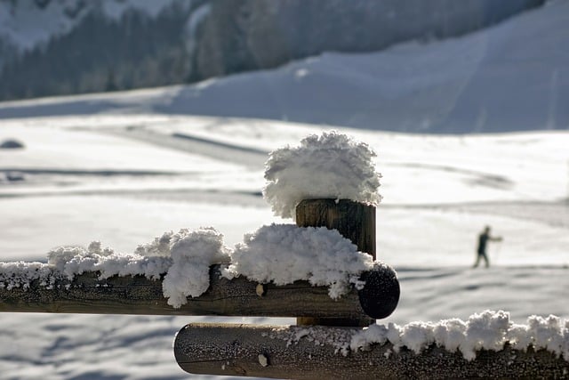 Bezpłatne pobieranie górskiego śniegu opad śniegu drewniany płot za darmo zdjęcie do edycji za pomocą bezpłatnego edytora obrazów online GIMP