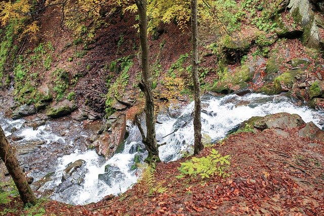 Muat turun percuma Mountains Small River Creek - foto atau gambar percuma untuk diedit dengan editor imej dalam talian GIMP