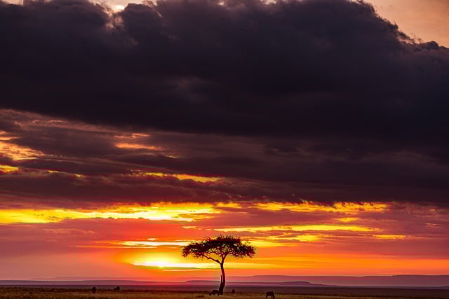 Free download mountains sunset wilderness free picture to be edited with GIMP free online image editor