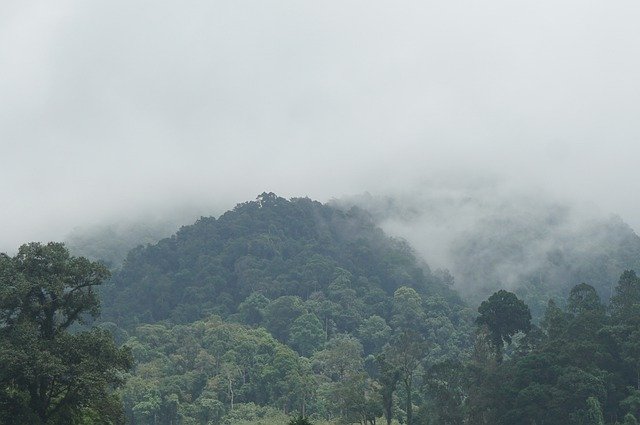 Téléchargement gratuit Montagnes Les Forêts Nature - photo ou image gratuite à éditer avec l'éditeur d'images en ligne GIMP