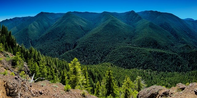 Free download Mountains Trees Evergreen -  free photo or picture to be edited with GIMP online image editor