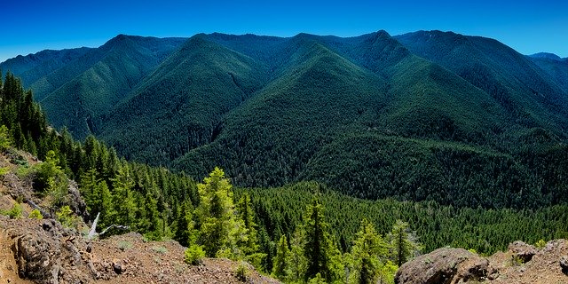 Free download Mountains Trees Evergreen -  free photo or picture to be edited with GIMP online image editor