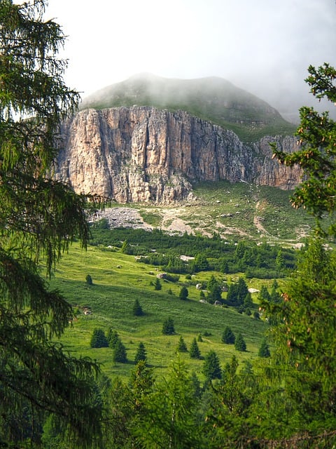 Free download mountains trees meadow south tirol free picture to be edited with GIMP free online image editor