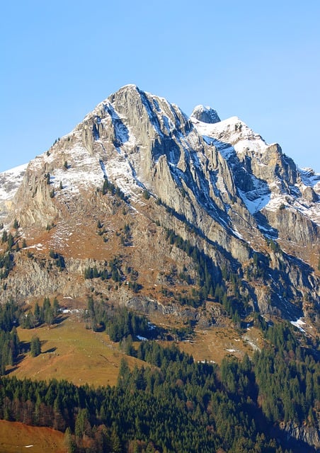 Free download mountain summit tree line engelberg free picture to be edited with GIMP free online image editor