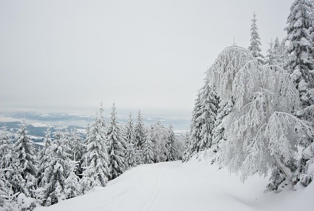 Gratis download Bergen Winter Frost - gratis foto of afbeelding om te bewerken met GIMP online afbeeldingseditor