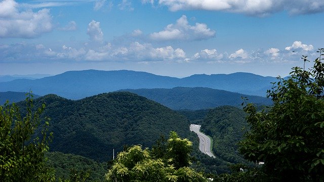 Free download Mountain Tree Landscape -  free photo or picture to be edited with GIMP online image editor