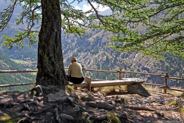 Bezpłatne pobieranie górskiego drzewa człowiek panorama doliny darmowe zdjęcie do edycji za pomocą bezpłatnego internetowego edytora obrazów GIMP