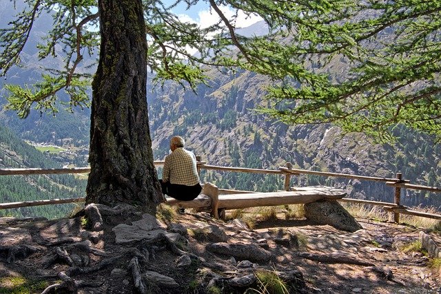 Téléchargement gratuit montagne arbre homme panorama vallée image gratuite à éditer avec l'éditeur d'images en ligne gratuit GIMP