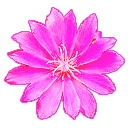 MountainView Bitterroot Valley  screen for extension Chrome web store in OffiDocs Chromium