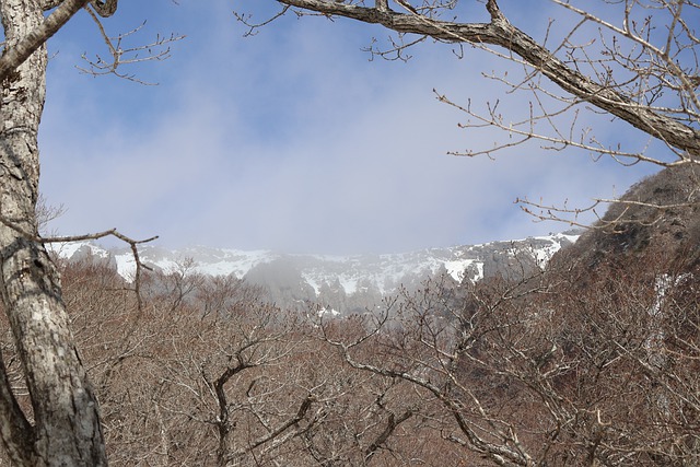Free download mountain winter nature trees free picture to be edited with GIMP free online image editor