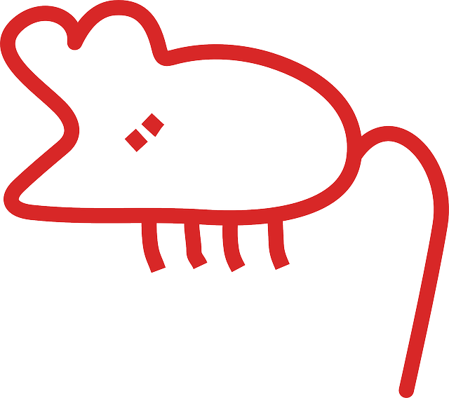 Free download Mouse Abstract Animal - Free vector graphic on Pixabay free illustration to be edited with GIMP free online image editor