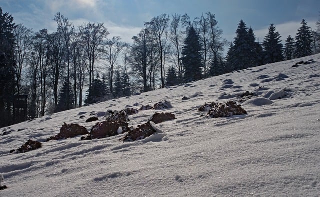 Free download mouse hill mouse constructions snow free picture to be edited with GIMP free online image editor
