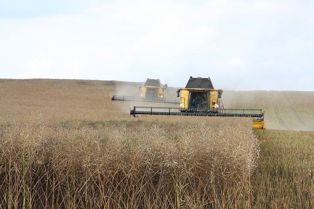 Free download mower oilseed rape agriculture free picture to be edited with GIMP free online image editor