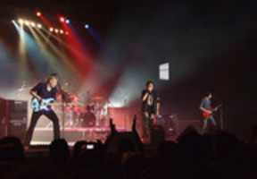 Free download Mr. Big - Sofia 2011 free photo or picture to be edited with GIMP online image editor