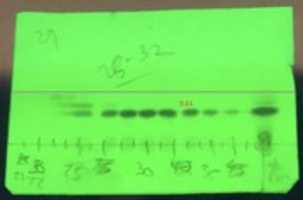 Free download MS 001 003 2f ABC Column CFs free photo or picture to be edited with GIMP online image editor