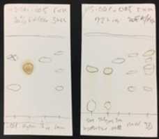 Free download MS 001 005a Rxn Mixture 3 And 72 Hrs free photo or picture to be edited with GIMP online image editor