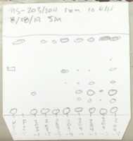Free download MS 002 203: 204 1: 2: 3: 4 Aliquot free photo or picture to be edited with GIMP online image editor