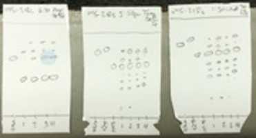 Free download MS 002 218 Rxns free photo or picture to be edited with GIMP online image editor