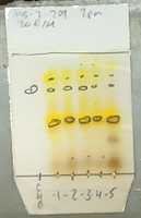 Free download MS 2 209b Rxns Pyr Form free photo or picture to be edited with GIMP online image editor