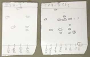 Free download MS 2 227 3 Crude Column free photo or picture to be edited with GIMP online image editor