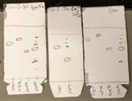 Free download MS 2 301 1c CFs 2 free photo or picture to be edited with GIMP online image editor