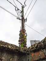 Free download mtvoeqwzhysx free photo or picture to be edited with GIMP online image editor