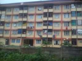 Free download Muka Kuning free photo or picture to be edited with GIMP online image editor