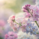 Multicolored Flower Branch  screen for extension Chrome web store in OffiDocs Chromium