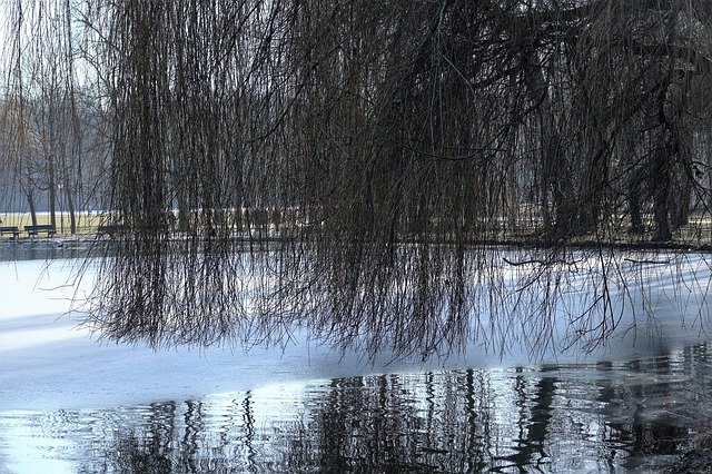 دانلود رایگان دریاچه پارک مونیخ - عکس یا تصویر رایگان برای ویرایش با ویرایشگر تصویر آنلاین GIMP