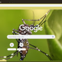 Muoi  screen for extension Chrome web store in OffiDocs Chromium