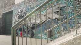 Free download Murial Seal Wall -  free video to be edited with OpenShot online video editor