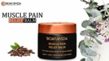 Free download Muscle Pain Relief Balm free photo or picture to be edited with GIMP online image editor
