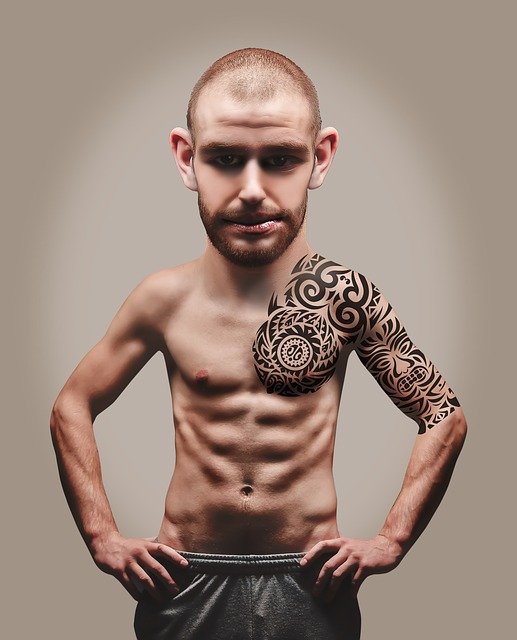 Free download muscles man muscular torso guy free picture to be edited with GIMP free online image editor